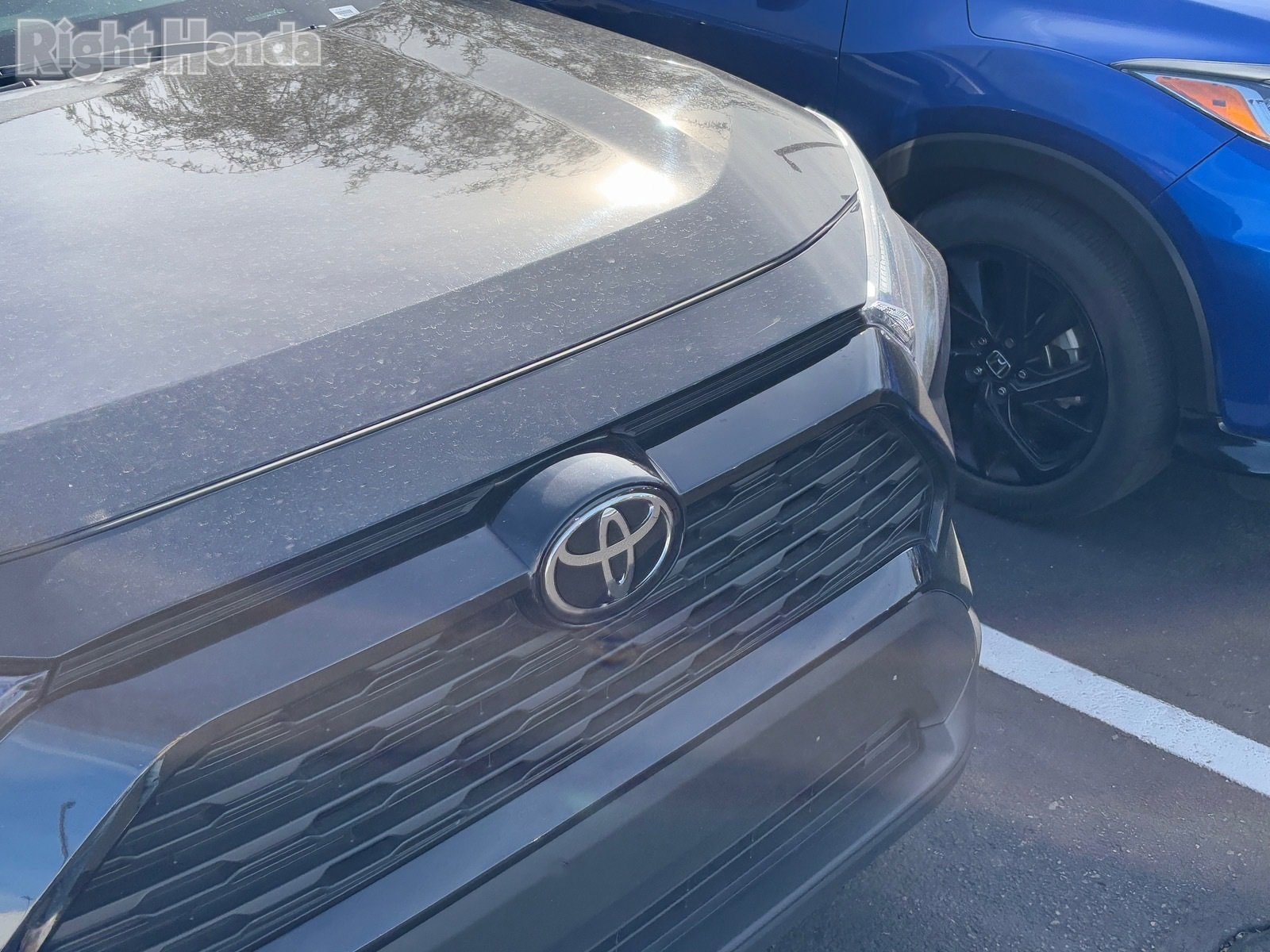 Used 2025 Toyota RAV4 XLE Premium image 5