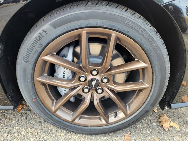 New 2026 Ford Mustang GT Premium w/ Bronze Appearance Package RWD image 20