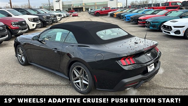 New 2026 Ford Mustang Premium image 4