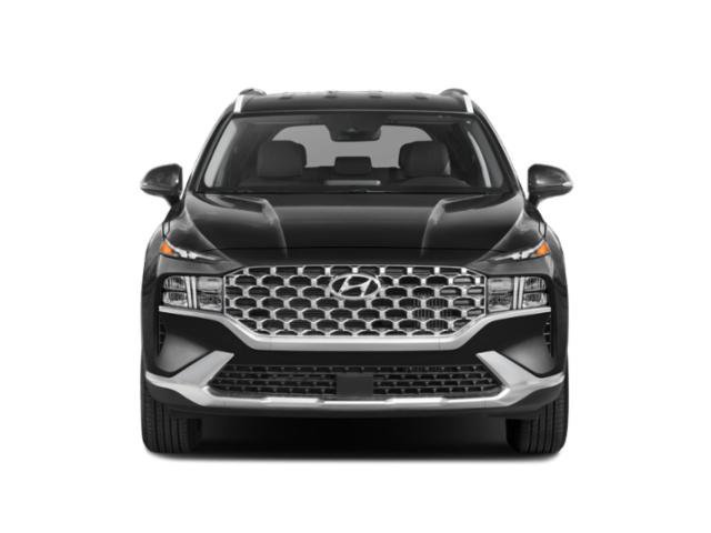 Used 2023 Hyundai Santa Fe Blue AWD/4WD image 7