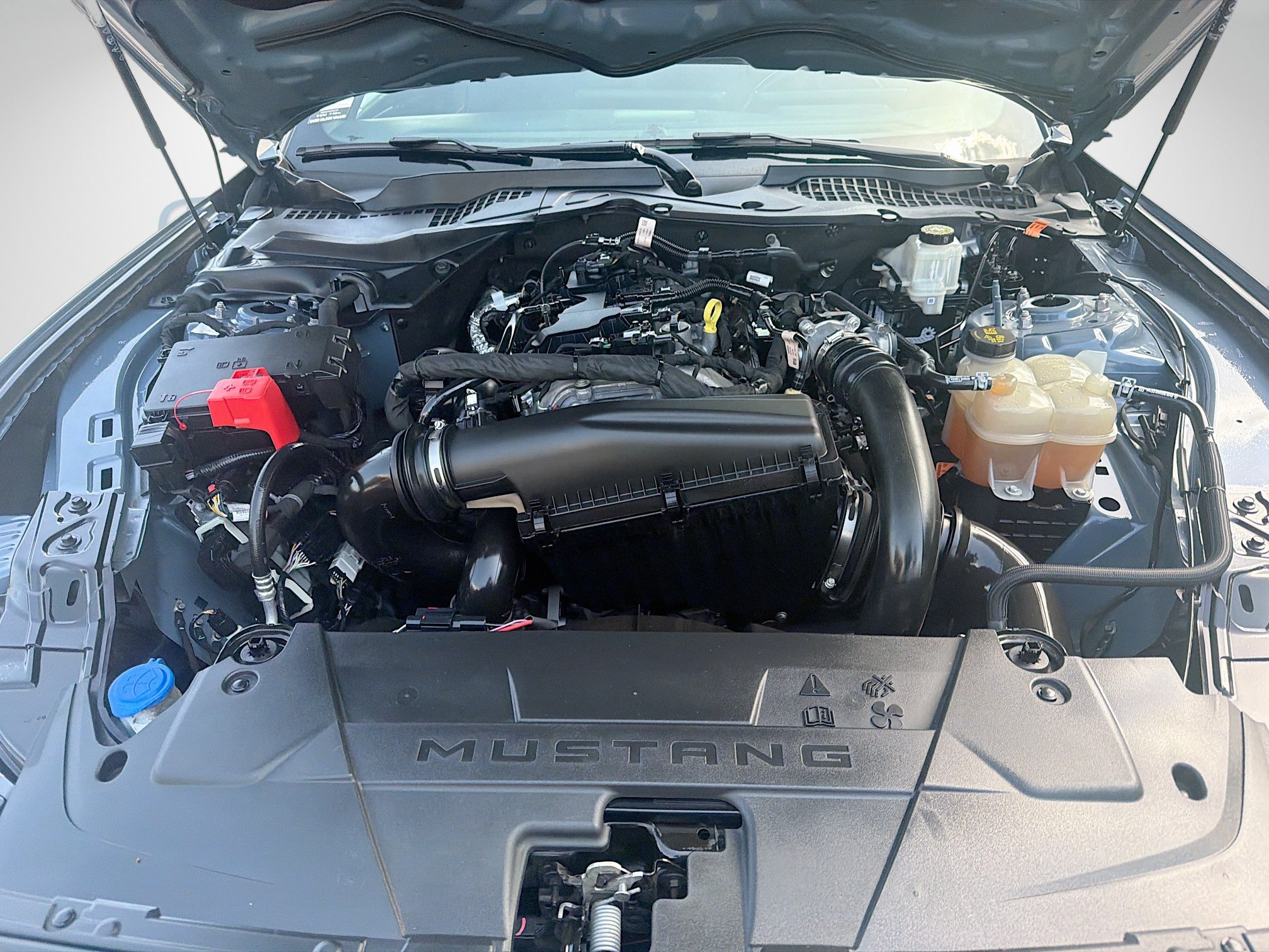 Used 2024 Ford Mustang Coupe RWD image 32