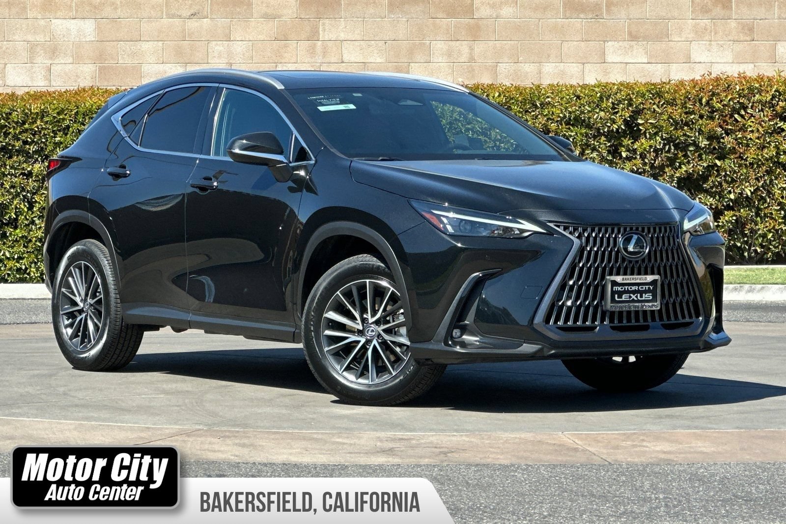 Certified 2025 Lexus NX 350h AWD w/ Cold Area Package