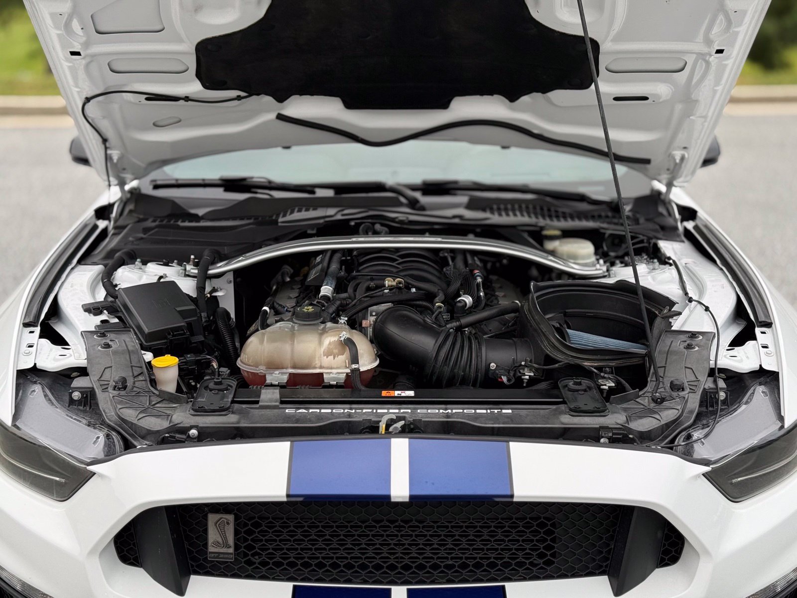 Used 2016 Ford Mustang Shelby GT350 w/ Technology Package RWD image 44