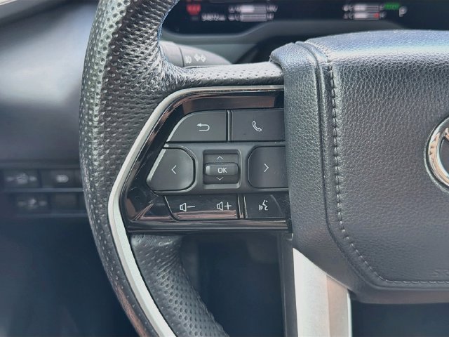 Used 2025 Toyota Tundra Platinum AWD/4WD image 38