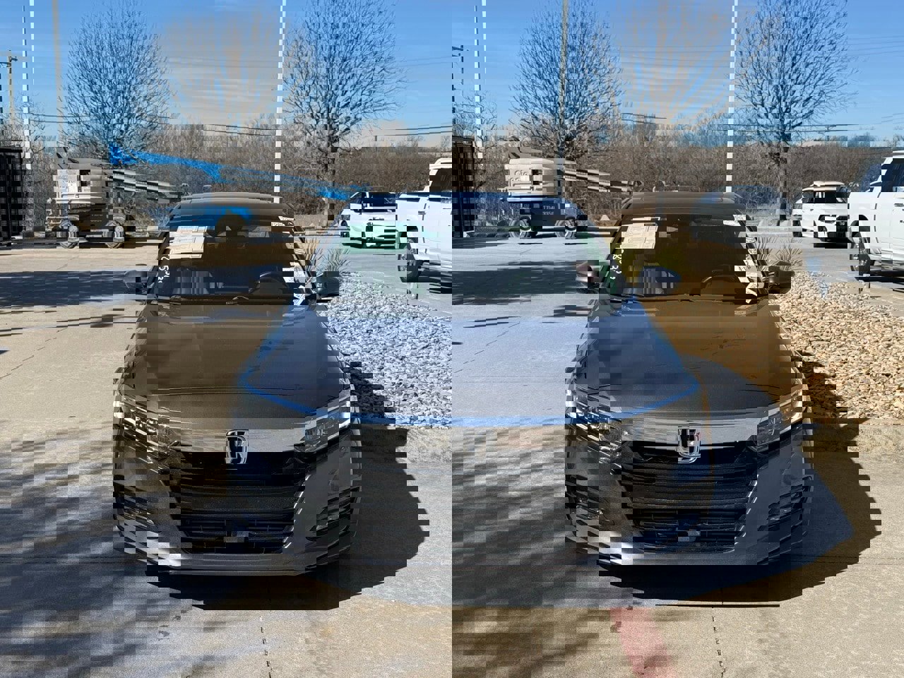 Used 2019 Honda Accord EX-L image 8