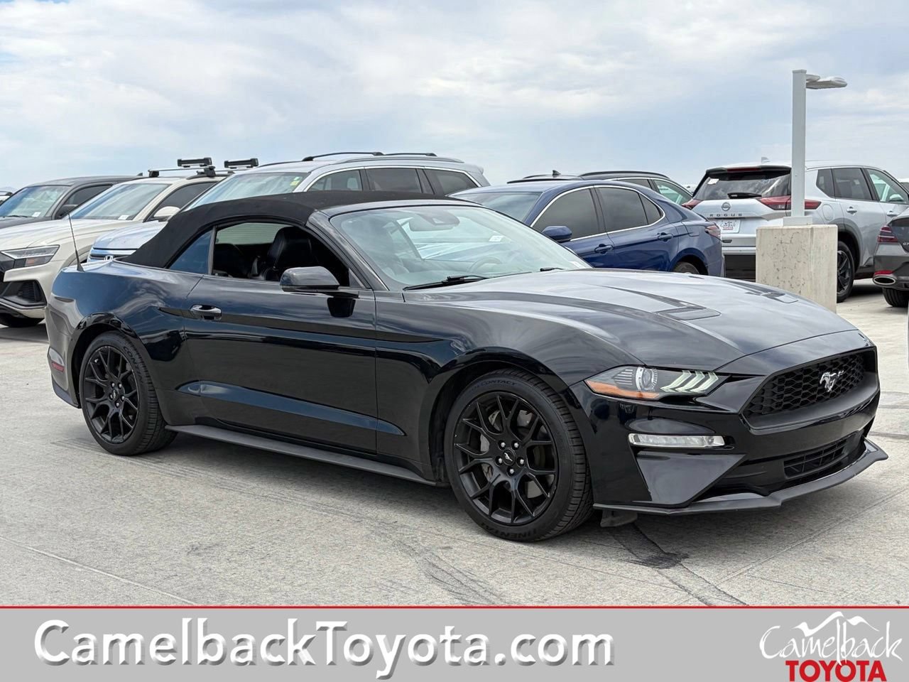 Used 2019 Ford Mustang Premium w/ Ecoboost Performance Package RWD image 1