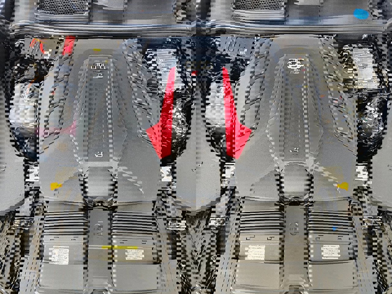 New 2025 Audi RS Q8 performance image 8