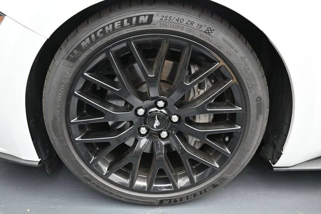 Used 2018 Ford Mustang GT Premium w/ Equipment Group 401A RWD image 10
