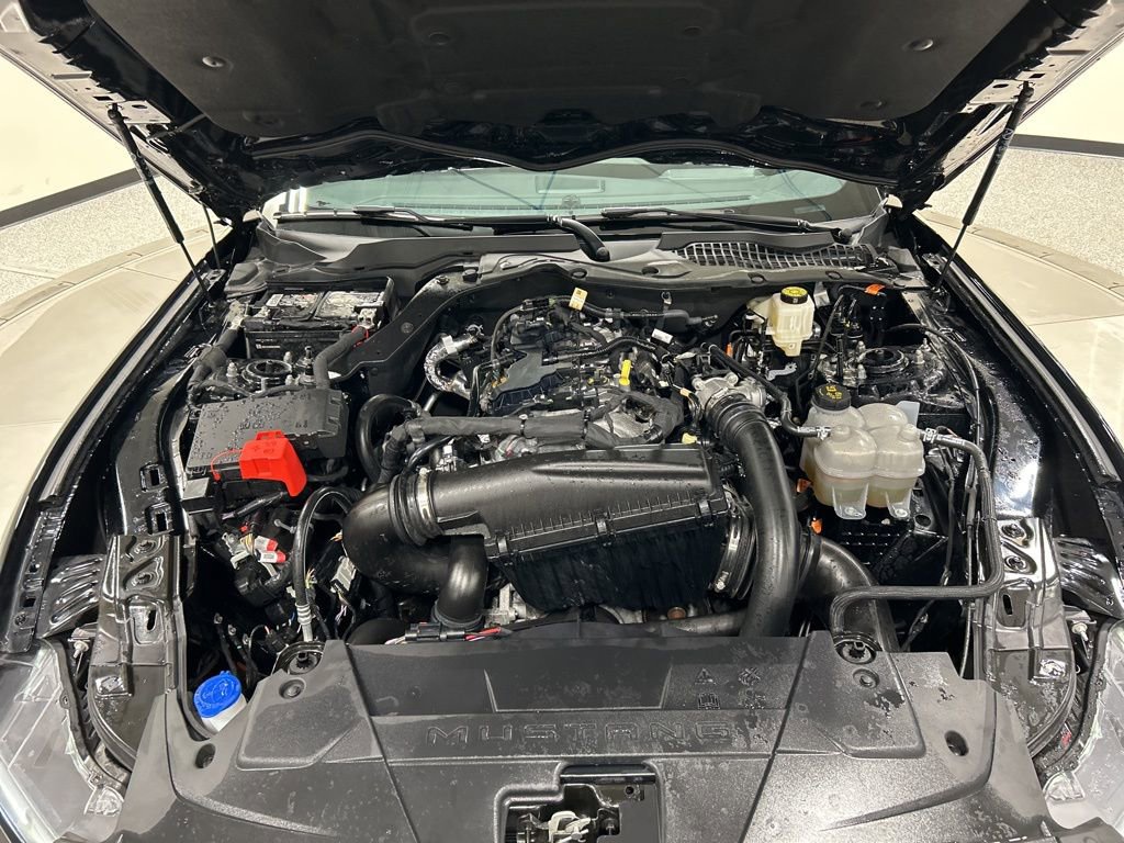 Certified 2024 Ford Mustang Premium RWD image 29