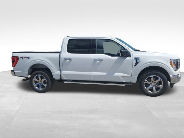 Used 2023 Ford F150 XLT w/ Equipment Group 302A High AWD/4WD image 3