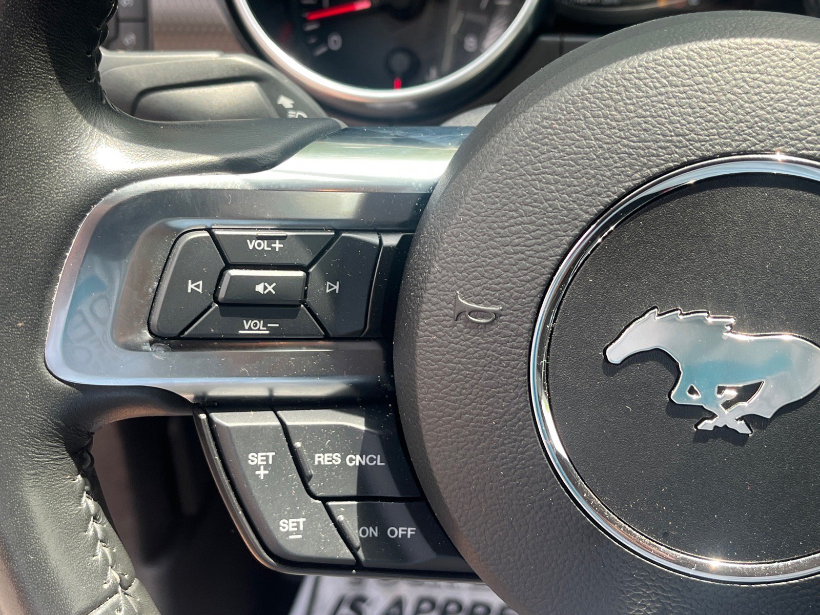 Certified 2019 Ford Mustang GT Premium w/ California Special Package RWD image 15