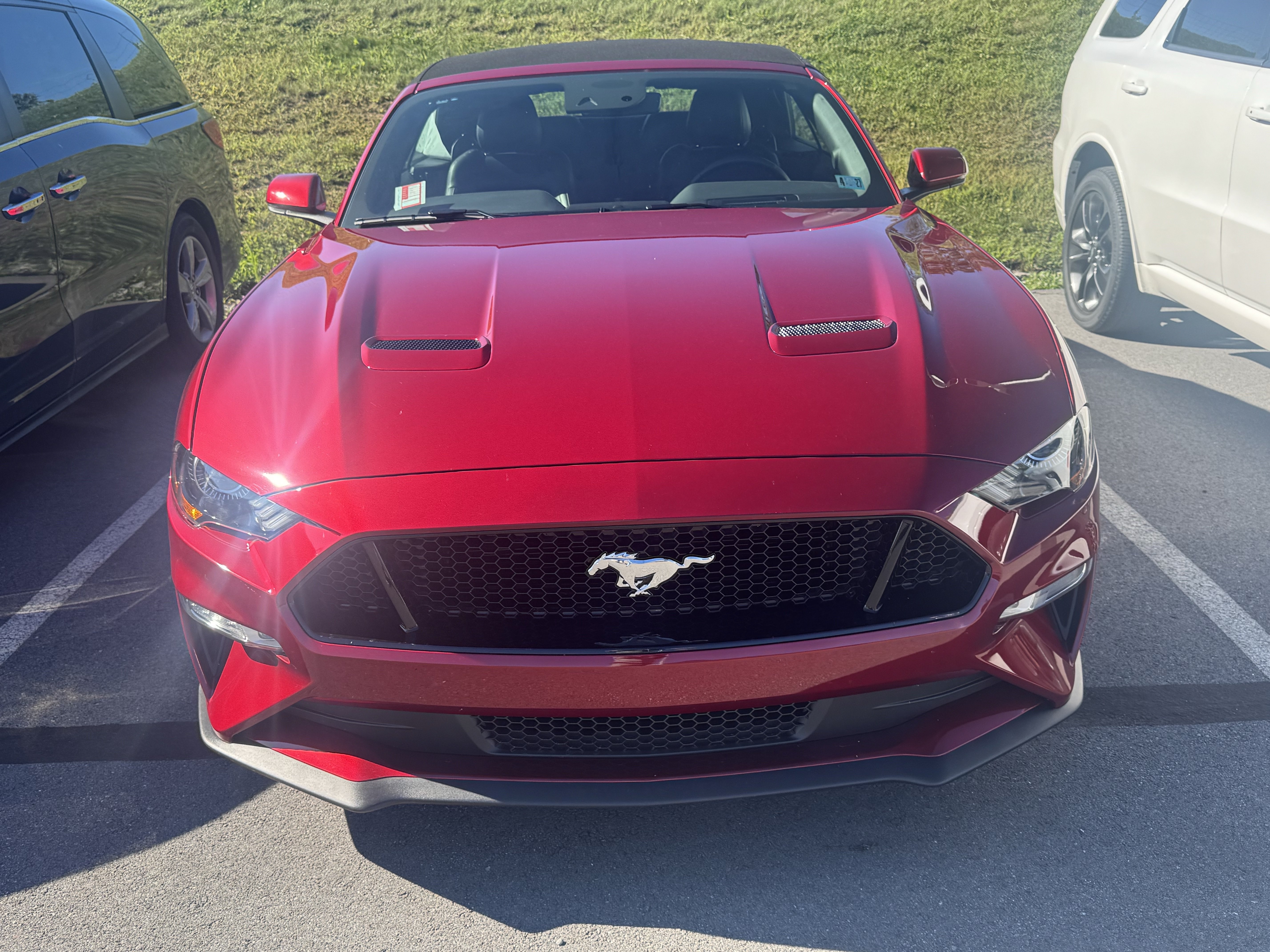 Used 2019 Ford Mustang GT Premium w/ Equipment Group 401A RWD image 2