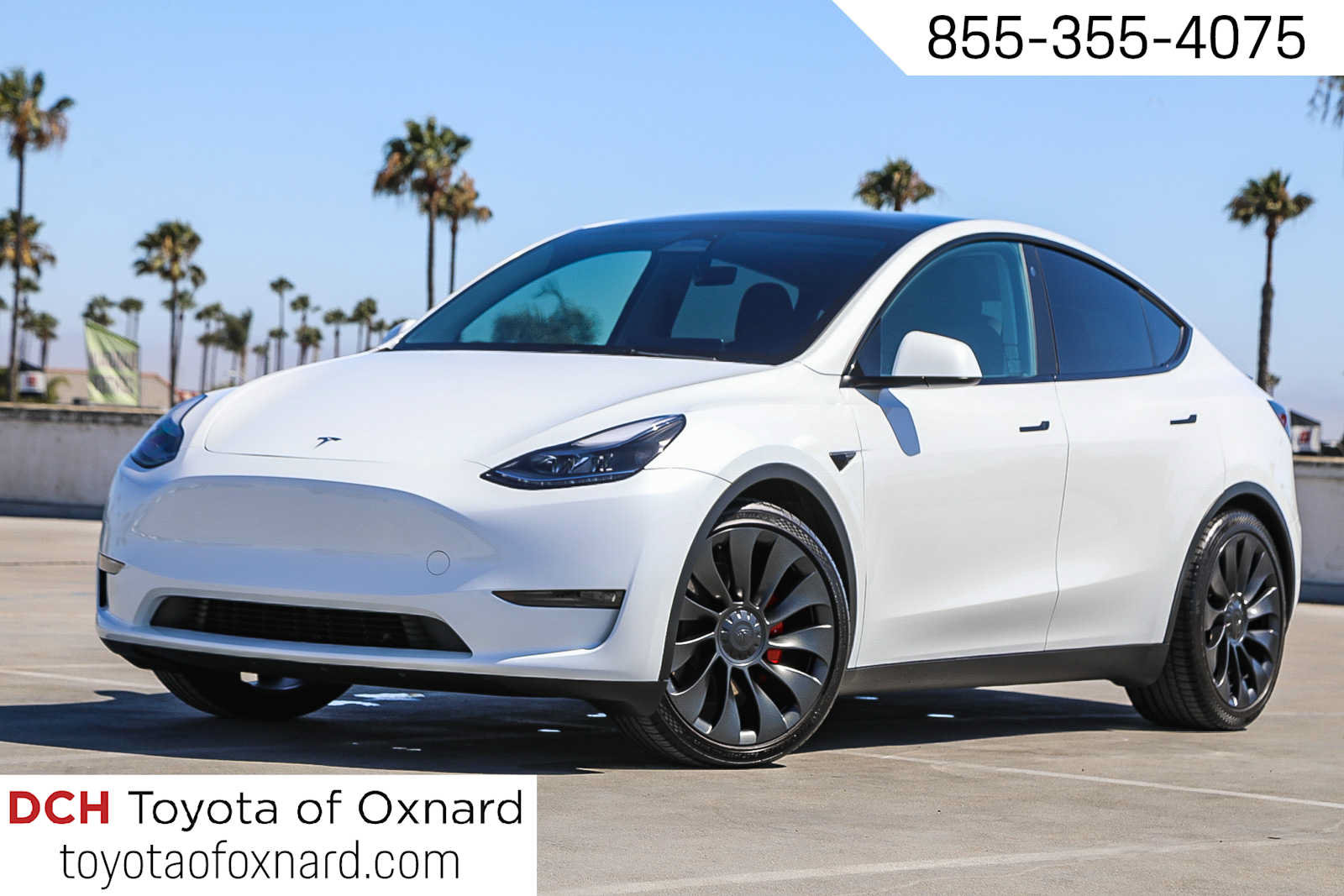 Used 2023 Tesla Model Y Performance AWD/4WD video 1