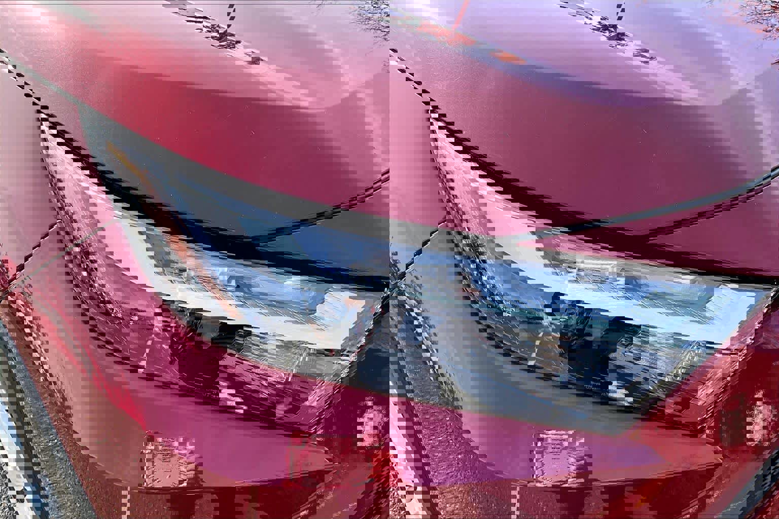 Certified 2024 Toyota RAV4 LE image 28