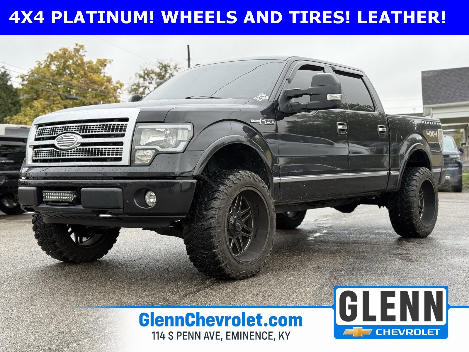 Used 2010 Ford F150 Platinum