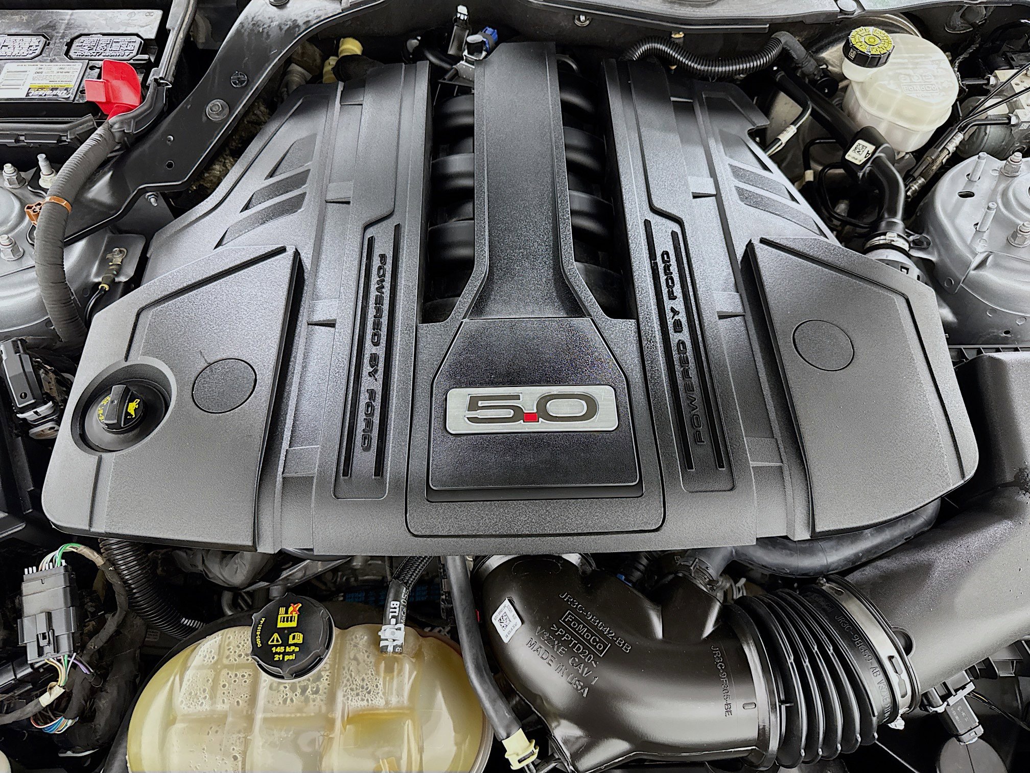 Used 2021 Ford Mustang GT w/ Equipment Group 301A RWD image 34