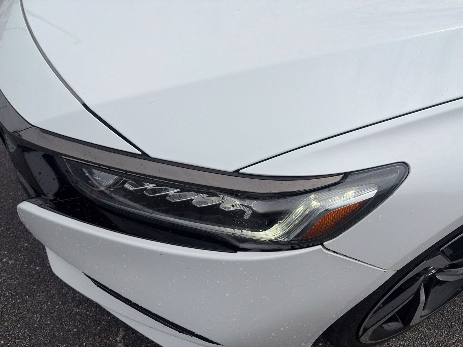 Used 2020 Honda Accord Sport image 18
