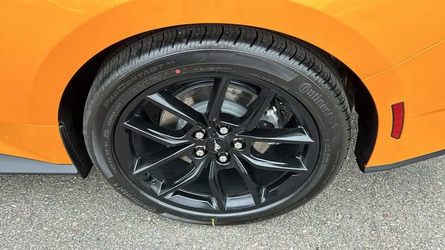 New 2026 Ford Mustang Coupe w/ Mustang Nite Pony Package image 6