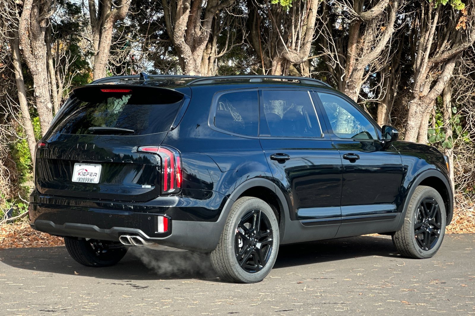 New 2025 Kia Telluride SX X-Line image 3