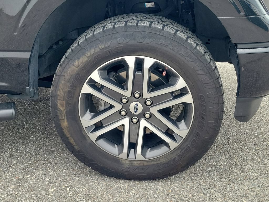 Certified 2023 Ford F150 XL w/ STX Appearance Package RWD image 7
