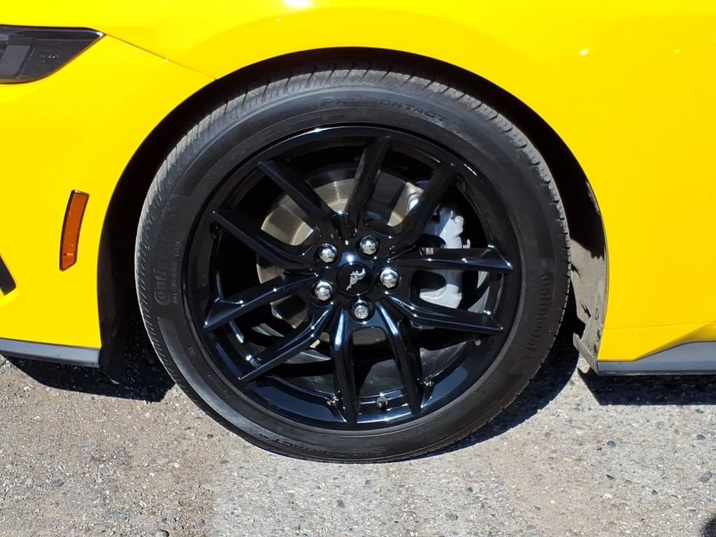 Used 2024 Ford Mustang Premium w/ Mustang Nite Pony Package RWD image 9