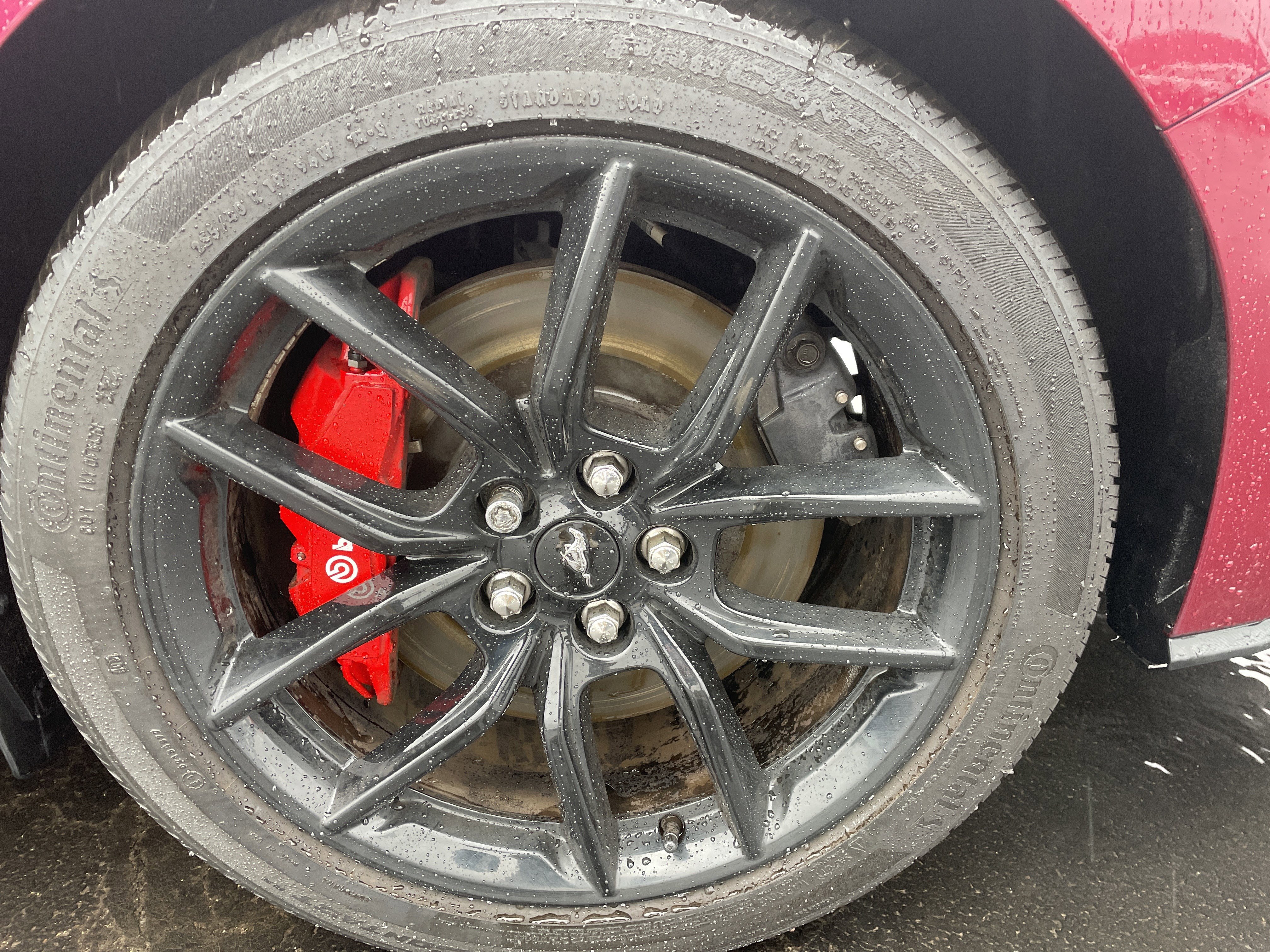 Used 2025 Ford Mustang GT Premium image 17