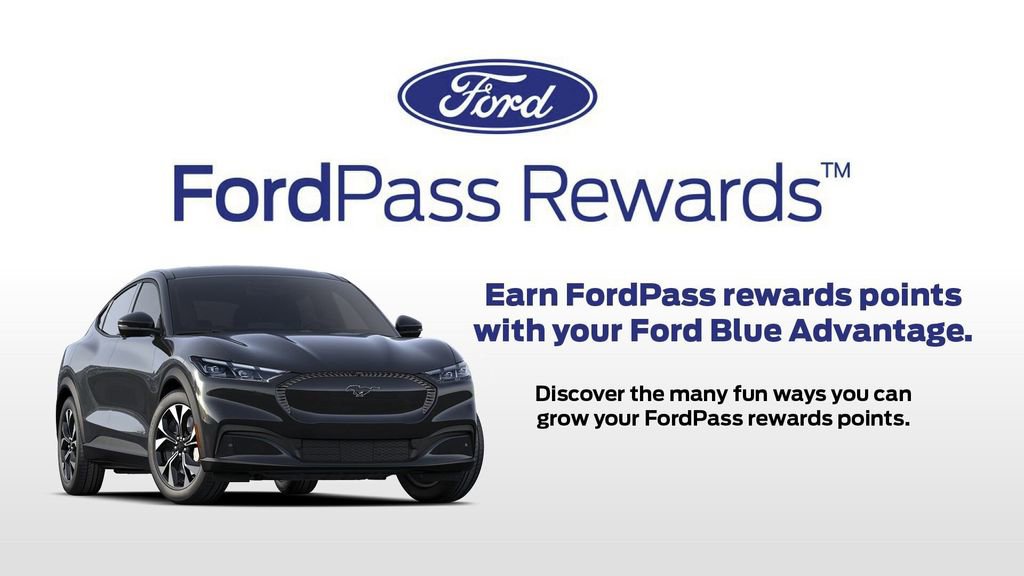 Certified 2023 Ford Bronco Wildtrak image 9