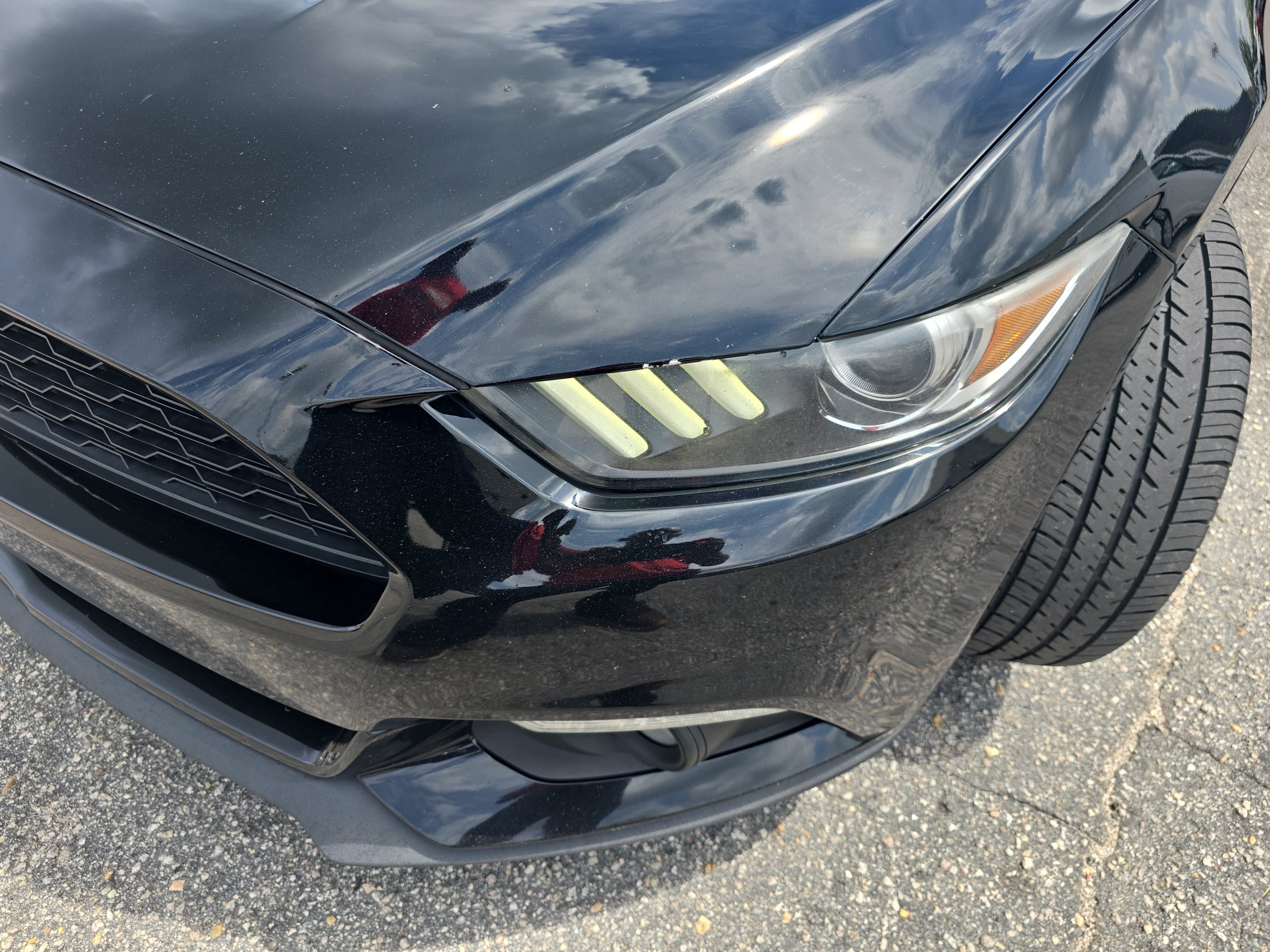 Used 2016 Ford Mustang Coupe w/ Interior & Wheel Package RWD image 29