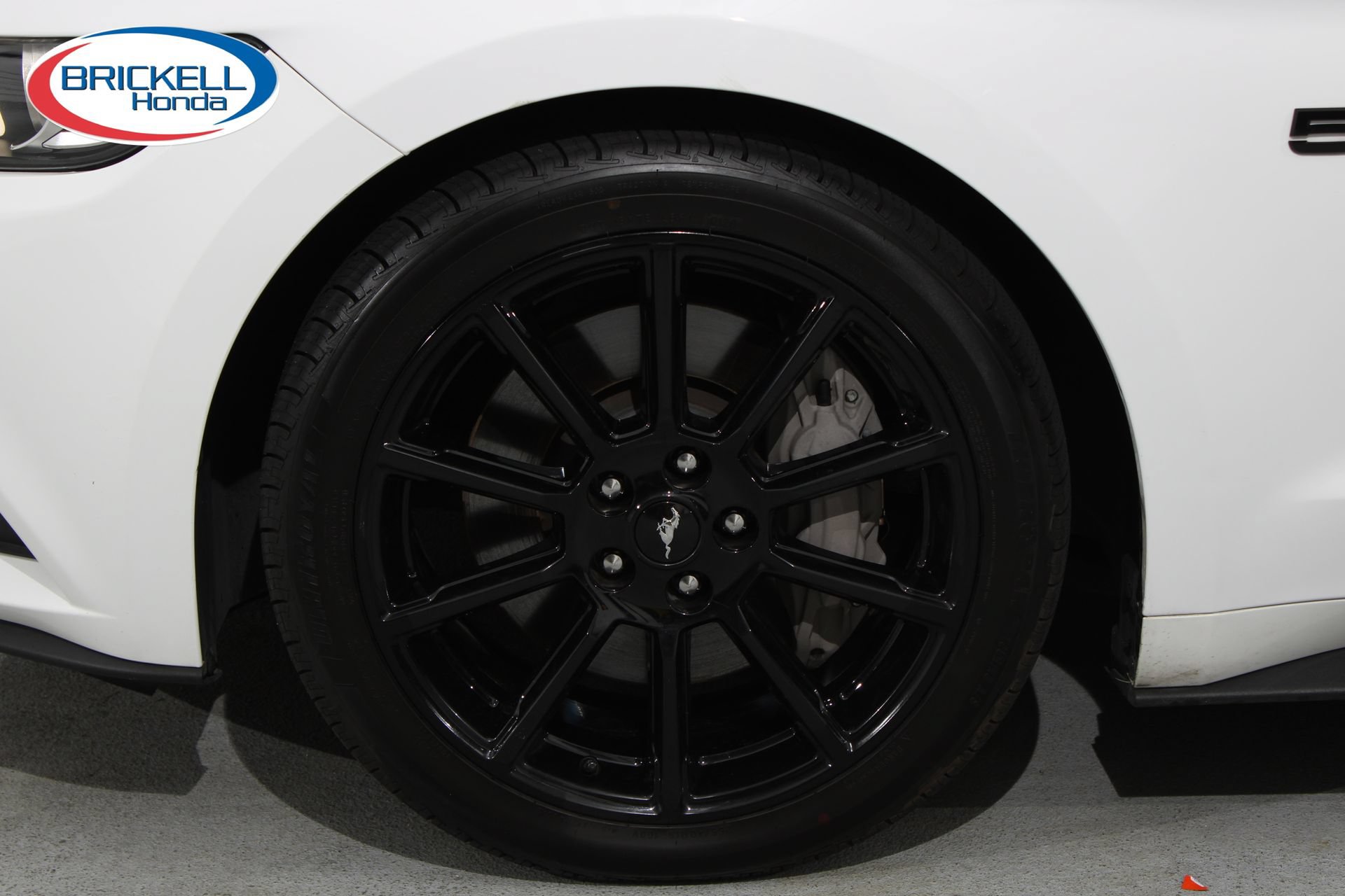 Used 2016 Ford Mustang GT Premium w/ Equipment Group 401A RWD image 39