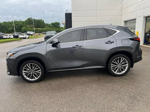 Used 2022 Lexus NX 350h AWD w/ Vision Package image 5