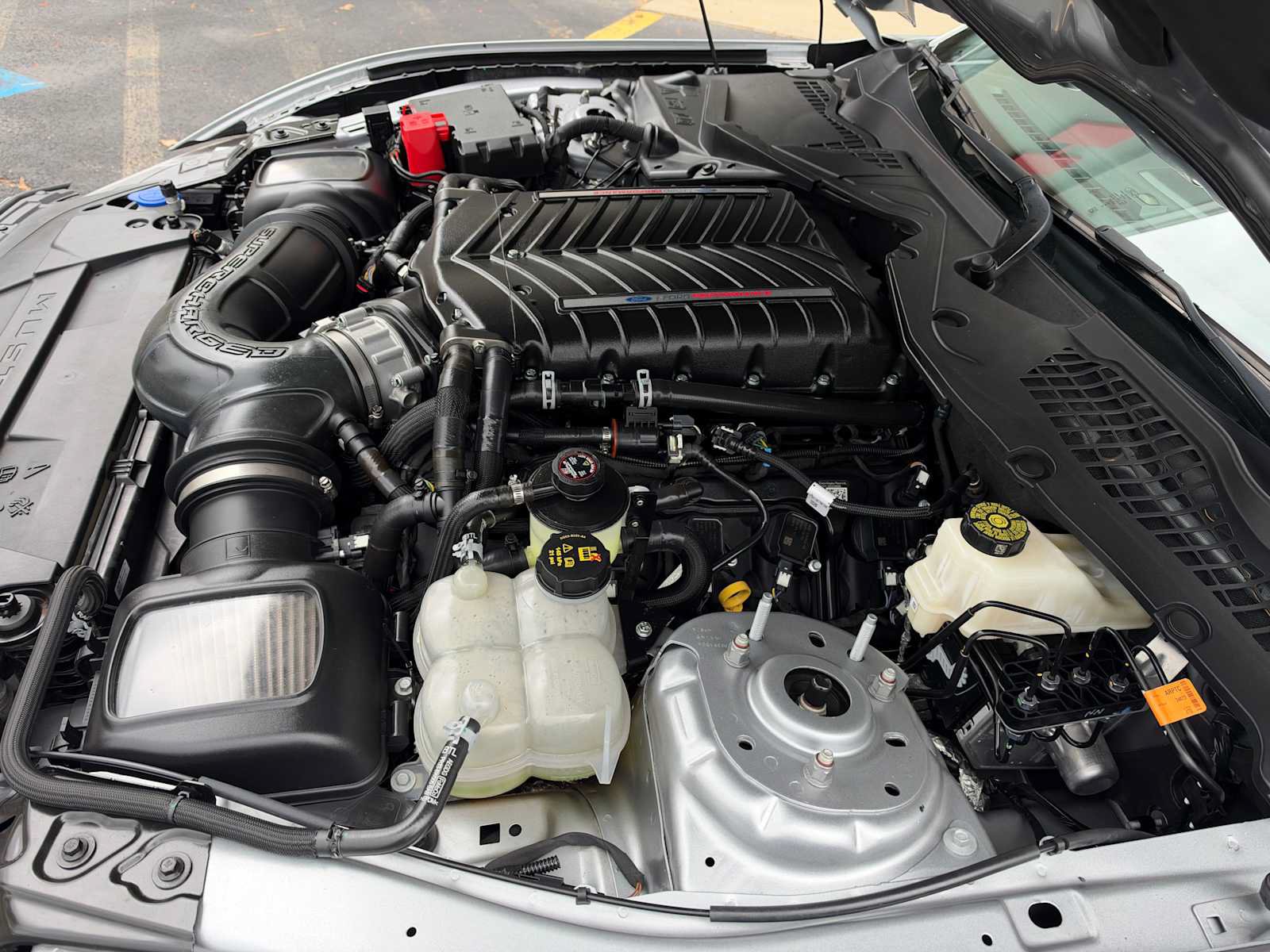 Used 2024 Ford Mustang GT Premium RWD image 8