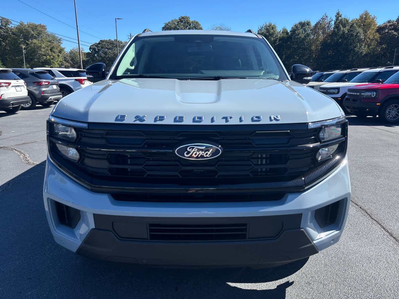 New 2025 Ford Expedition Active image 26