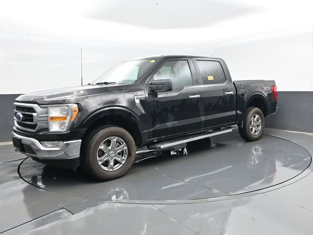 Used 2023 Ford F150 XL