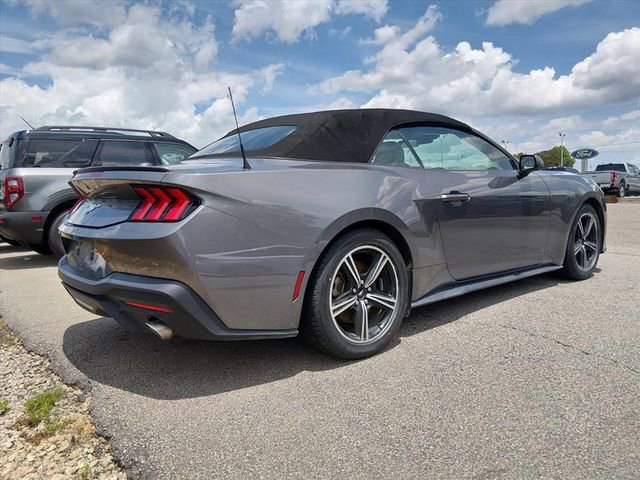 Used 2024 Ford Mustang Premium RWD image 3