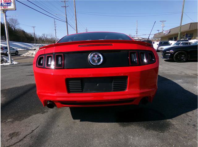 Used 2014 Ford Mustang Premium w/ Equipment Group 203A image 12