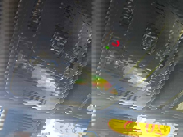 Certified 2025 Lexus UX 300h FWD image 34