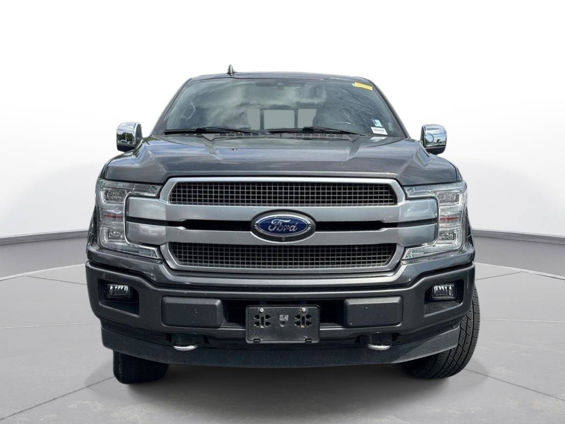 Used 2019 Ford F150 Platinum w/ Equipment Group 701A Luxury AWD/4WD image 3