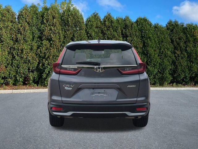 Used 2022 Honda CR-V EX-L image 5