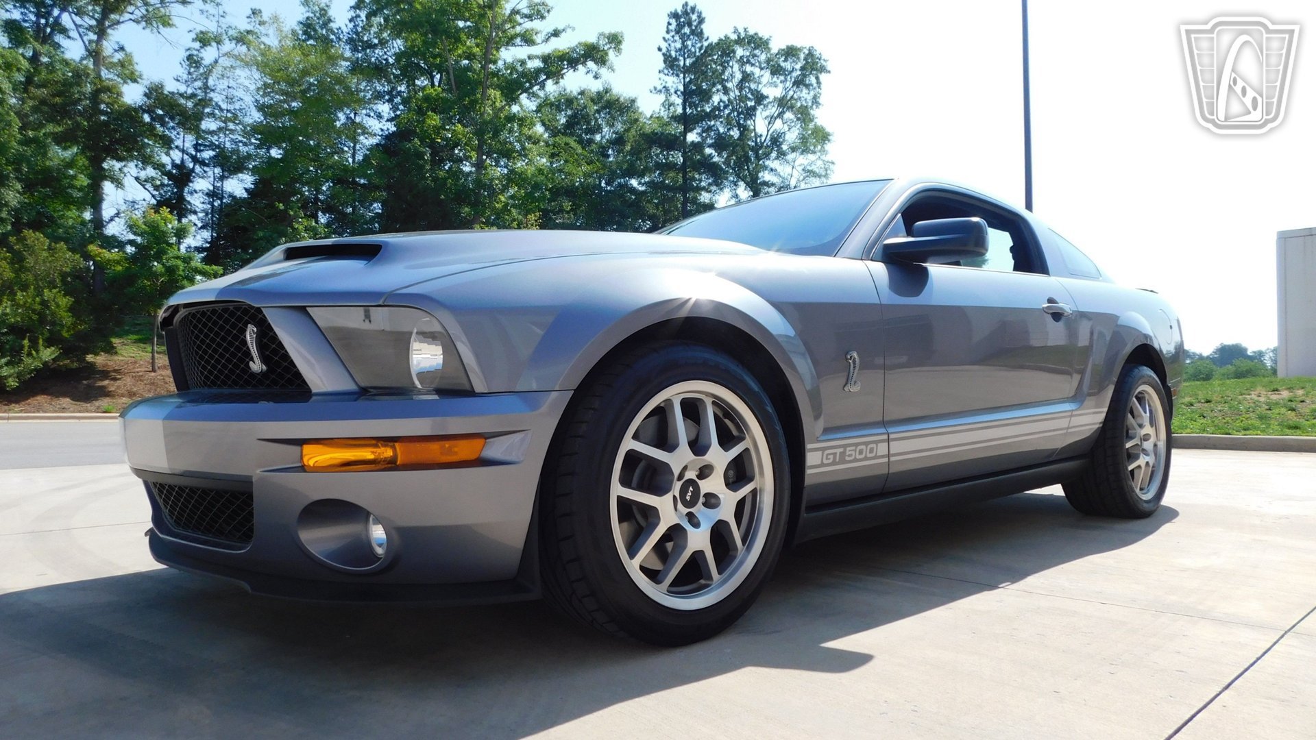 Used 2007 Ford Mustang Shelby GT500 RWD image 5