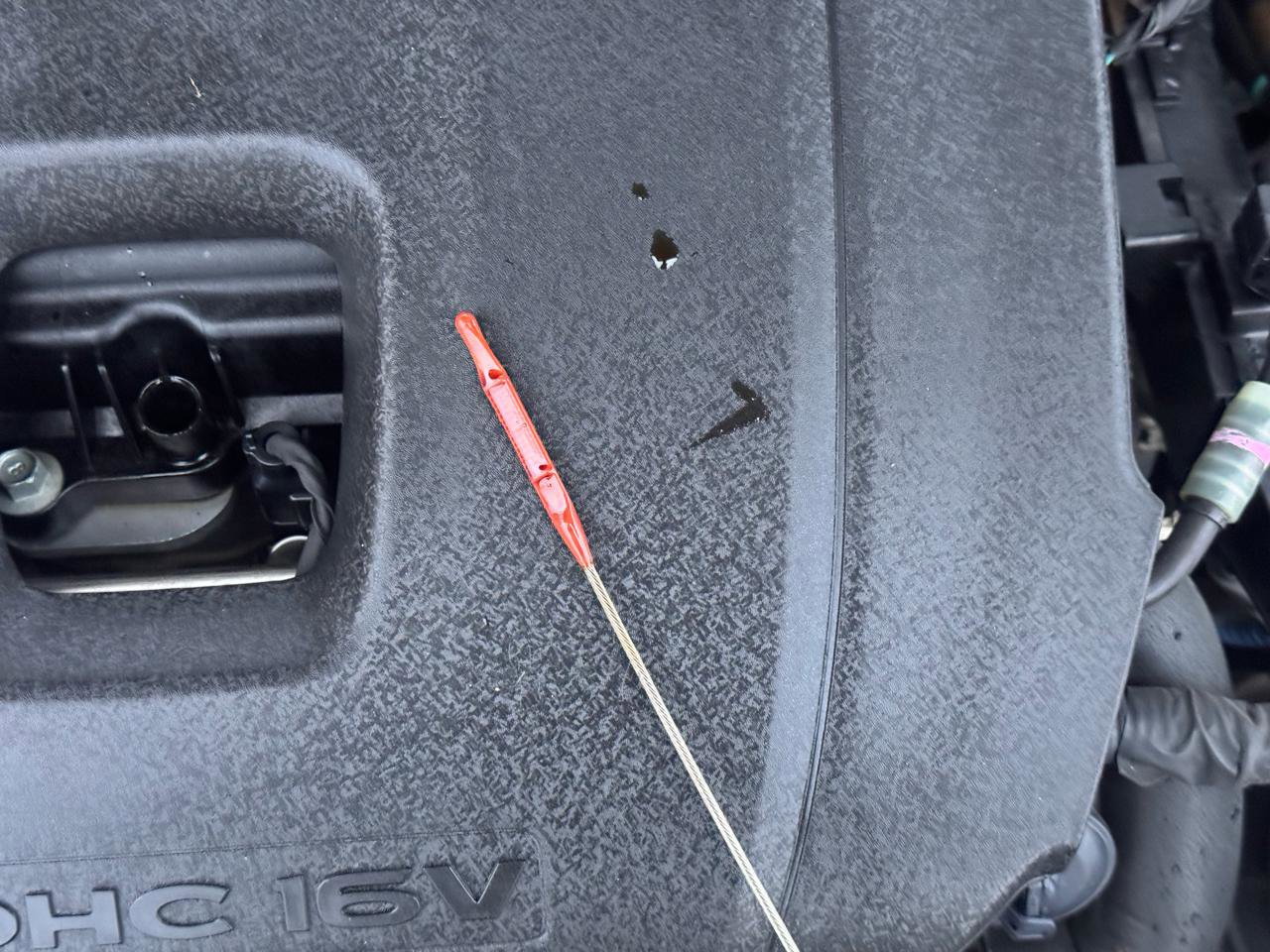 Used 2019 Hyundai Elantra Limited FWD image 19