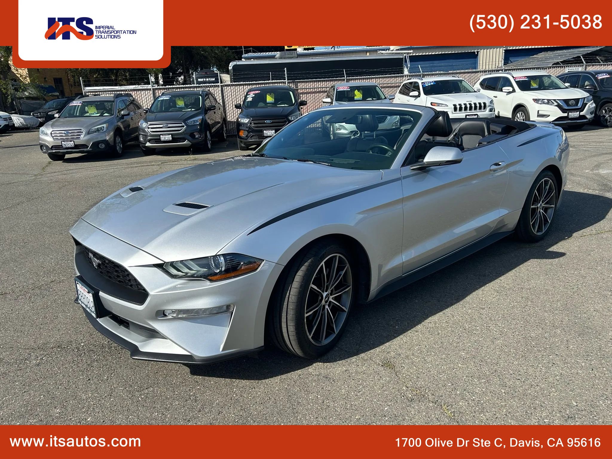 Used 2019 Ford Mustang Premium w/ Equipment Group 201A image 3