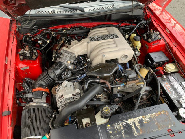 Used 1994 Ford Mustang GT RWD image 5