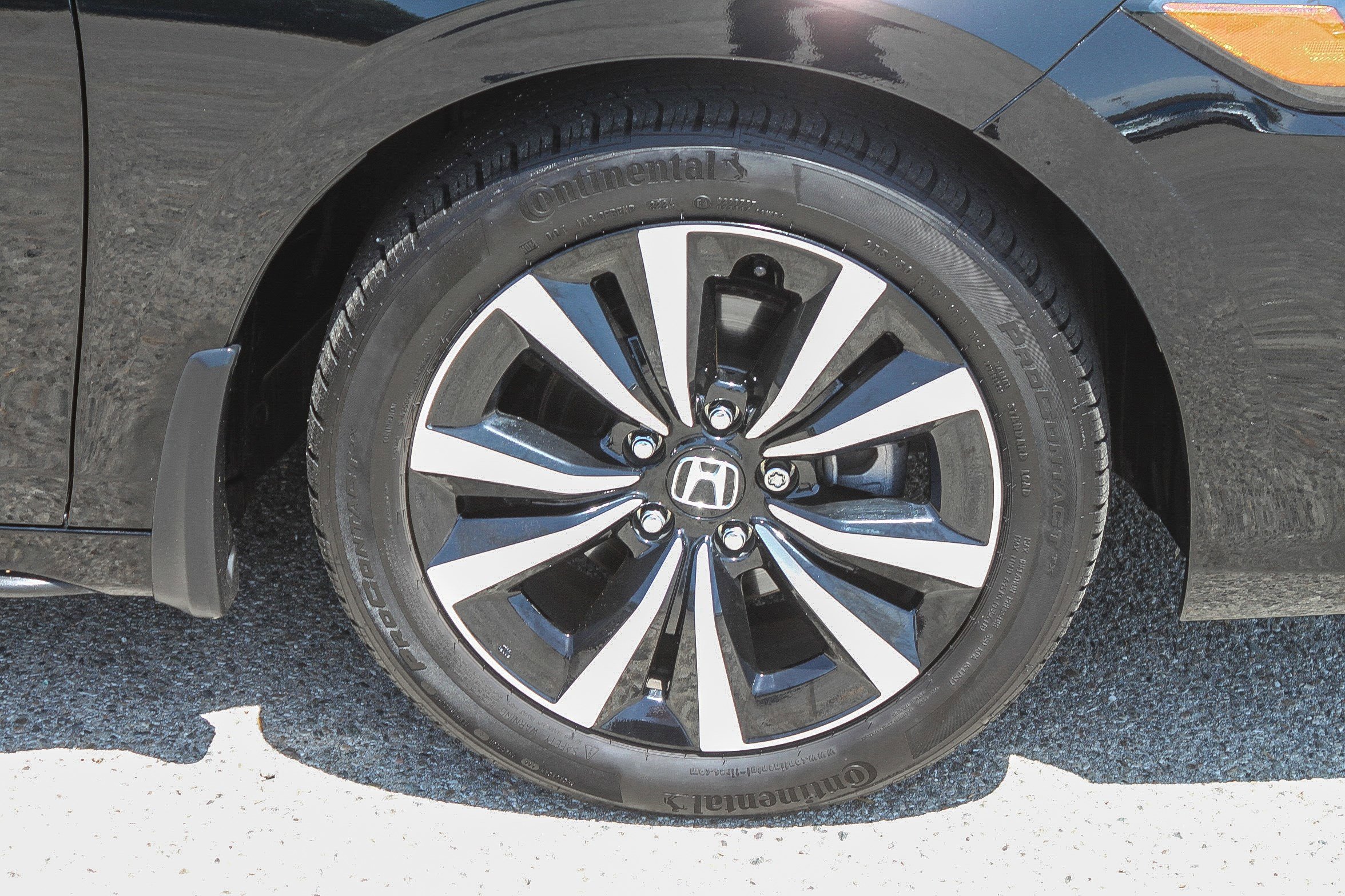 Certified 2024 Honda Civic EX-L image 13