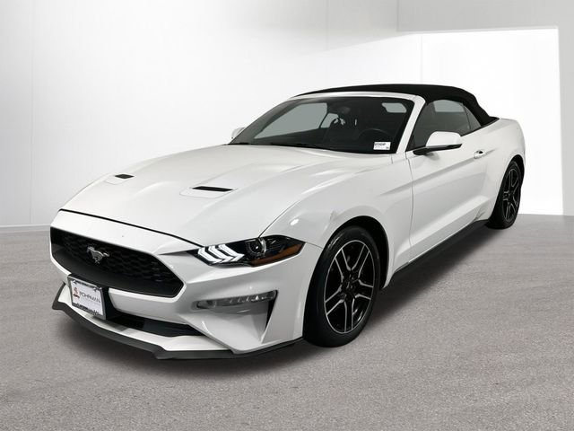Used 2019 Ford Mustang Premium RWD image 1