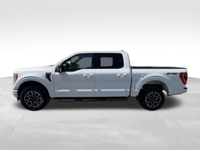 Used 2023 Ford F150 XLT w/ Equipment Group 302A High AWD/4WD image 12