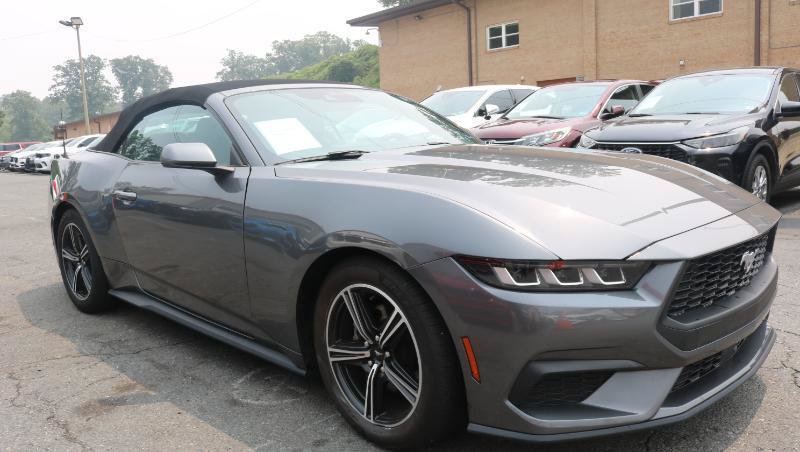 Used 2024 Ford Mustang Premium RWD image 3