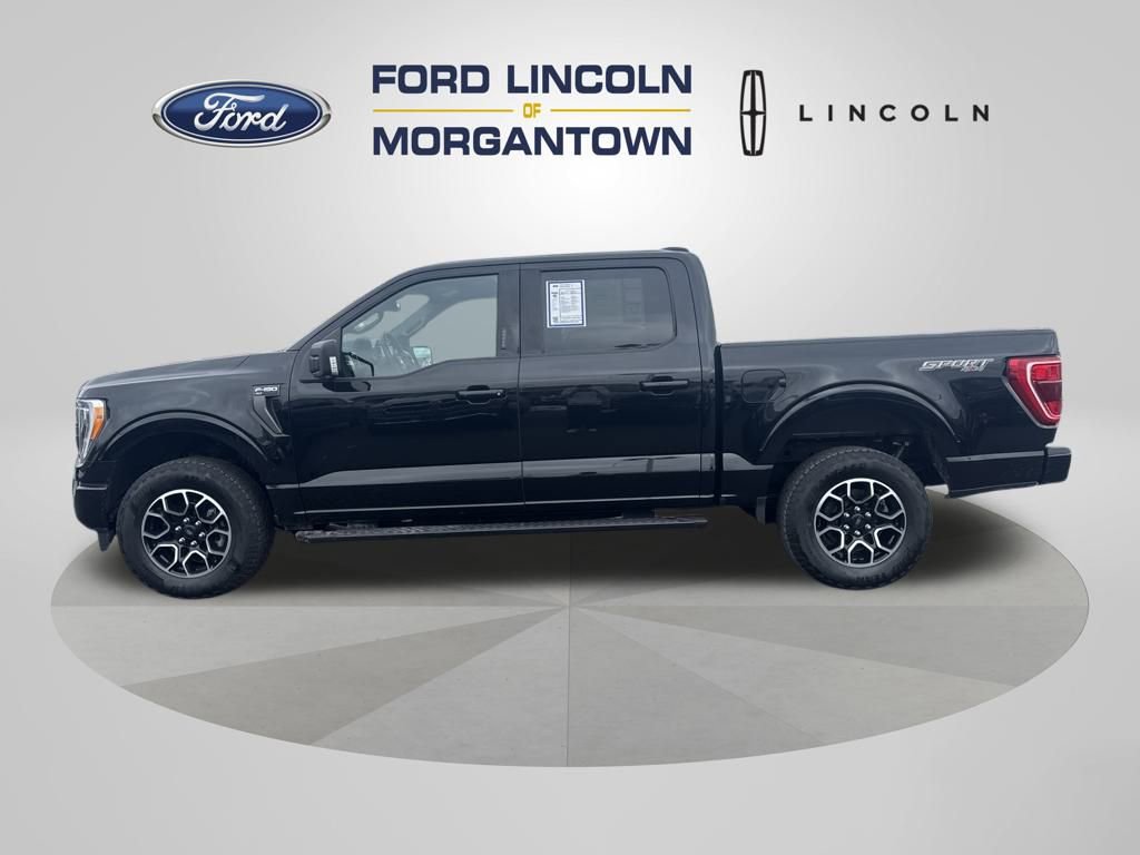 Used 2023 Ford F150 XLT w/ Equipment Group 302A High image 1