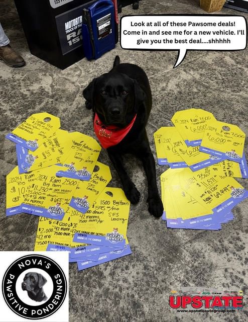 New 2026 Jeep Wrangler Unlimited Sport image 51