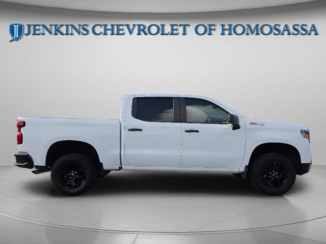 Used 2024 Chevrolet Silverado 1500 Custom Trail Boss AWD/4WD image 3