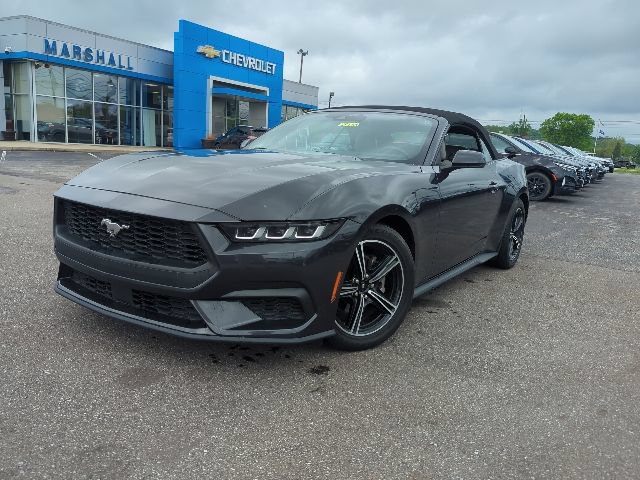 Used 2024 Ford Mustang Premium RWD image 3